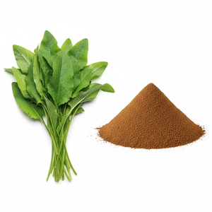 Muz Otu Ekstresi Bitkisel Toz <span class=keywords><strong>Plantago</strong></span> Polisakkarit %10 İdrar Sağlığı ve Bağırsak Bakımı Takviyesi Su Ekstraktı - Product Image 6