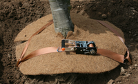 Kit d'ancrage de racine, Ancrage à bec de canard avec tige de fixation et sangle à cliquet pour la stabilisation des arbres, des palmiers et des aménagements paysagers