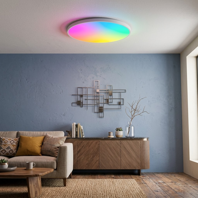 Modern WiFi Smart RGB LED Ceiling Light App Control Dimmable Flush Mount for Living Room Bedroom Home
