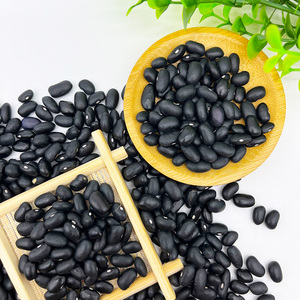 Fagioli Neri Piccoli in Offerta, Esportazione di Fagioli Neri Piccoli - Product Image 5