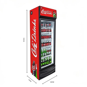 Refrigerador <span class=keywords><strong>Vertical</strong></span> de Bebidas con Puerta de Vidrio Simple de 300L, Refrigerador Comercial de Exhibición para Tiendas de Conveniencia - Product Image 2