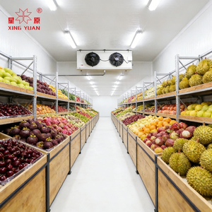 Chambre Froide Industrielle pour <span class=keywords><strong>Boucherie</strong></span> et Pêcherie, Stockage de Viande et de Poisson (50 Tonnes) - Vente Chaude Direct Usine - Product Image 1