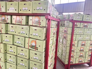 Ajo recién cosechado de Shandong, exportador confiable, fábricas con tamaños que van de 4.5-7 cm, con varias opciones disponibles. - Product Image 4