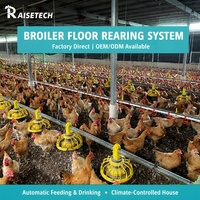 Système d'alimentation automatique pour poulets de chair par vis sans fin et mangeoire à plateau pour l'élevage avicole, ligne de ferme avicole, efficace et peu exigeante en main-d'œuvre