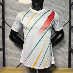 Uniformes de Fútbol de Guinea Temporada 2026, Nombre Personalizado, Ropa Deportiva para Hombre, Camiseta de Poliéster de Secado Rápido, Vetements De Football <span class=keywords><strong>Guinee</strong></span> - Product Image 1