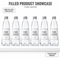Machine de rinçage, remplissage et bouchage automatique de bouteilles d'eau potable pure et minérale en PET, certifiée CE, pour l'industrie sanitaire