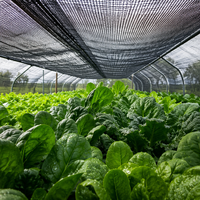 Duurzaam zwart vlak gebreid schaduwnet 55%-75% HDPE UV-bestendig landbouwkas groente zonwerend doek gewasbeschermingsnet