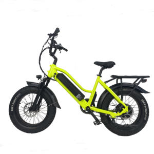 QUEENE/2024 nouveau vélo électrique <span class=keywords><strong>20</strong></span> <span class=keywords><strong>pouces</strong></span> Step Through Fat Tire 48V 750W 1000W ville Ebike vélo électrique tout-terrain pour unisexe - Product Image 2