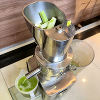 Extracteur de jus commercial à pression à froid en acier inoxydable, machine électrique pour fruits et légumes, jus de gingembre et de pomme