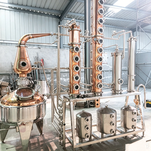 Équipement de distillation d'alcool <span class=keywords><strong>japonais</strong></span> personnalisé de 100 L avec 12 colonnes en cuivre et réservoirs de collecte en acier inoxydable - Product Image 1