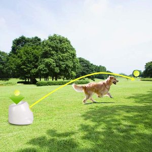 A09 Tutti per le zampe del cane <span class=keywords><strong>launcher</strong></span> giocattolo fetcher lanciatore di macchine del cane automatico buttare la palla macchina per i cani - Product Image 6