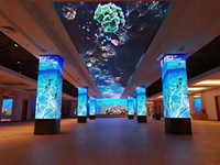 Layar LED Bentuk Khusus Tidak Beraturan, Modul LED Lunak Fleksibel, Layar LED Lengkung Berwarna Penuh