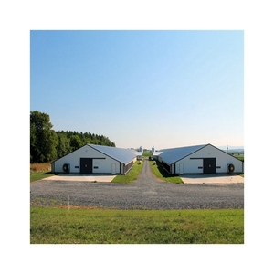 Filo di Ferro zincato L'allevamento di Pollame Gabbie <span class=keywords><strong>Per</strong></span> Le Quaglie Piccione Pollo di Grandi Dimensioni All'aperto poulailler Pulcino Casa - Product Image 3