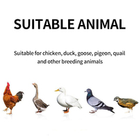 Additif alimentaire ZhiduJing avec acides aminés de qualité alimentaire pour la prévention des pattes enflées et des infections du tractus intestinal chez les poulets, les canards et les oies