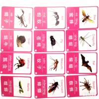 99 cartes de jeu éducatives pour enfants en chinois et en anglais, jeu de mémoire personnalisé