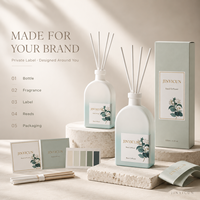 Diffuseur de parfum d'ambiance de luxe 100 ml avec bouteille en verre minimaliste, arôme longue durée pour boutique de cadeaux, hôtel, OEM, marque privée