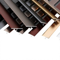Profilé de finition pour sol en bois, bande dorée titane, bande de seuil, bande de transition murale en alliage d'aluminium, décorations de seuil de porte