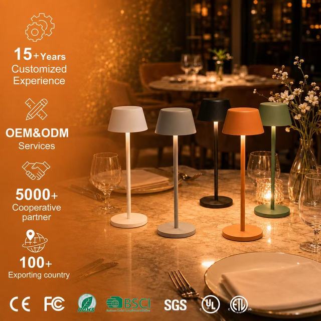 Modern LED Table Lamp with USB-C Rechargeable Battery Portable Cordless Iron Dimmable Touch Sensor Metal Shade