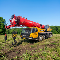 Grue mobile sur camion SANY STC55T6 de 55 tonnes, modèle 2020, avec moteur Weichai, hauteur de levage de 60 m, 4001-6000 heures, composants essentiels : roulement