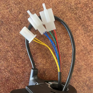 รถสามล้อเปิดประทุนแบบมีกระบะ พร้อมสายไฟยาว 65 ซม. แรงดันไฟฟ้า 36V สวิตช์ FR สายไฟยาว 65 ซม. แรงดันไฟฟ้า 36V - Product Image 2
