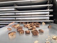 Machine lyophilisée sous vide pour légumes champignons échalotes/gingembre/ail tranches de fruits fraise mangue lyophilisateur de légumes