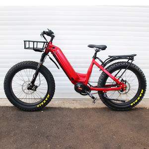 Warthog Hunting Ebike Fat Tire Vélo électrique <span class=keywords><strong>Rohloff</strong></span> <span class=keywords><strong>Moyeu</strong></span> 14 vitesses avec moteur Bafang M630 Entraînement par courroie VTT tout Terrain - Product Image 6