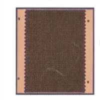 Diode laser VCSEL à jonction unique haute puissance 808 nm pour l'épilation esthétique, montage en surface, plaqué or, fiable