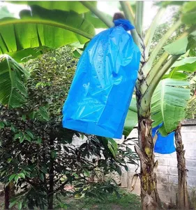 Fabrika düz saç muay thai muz çantası yeni muz koruma çantası muz demet çantası