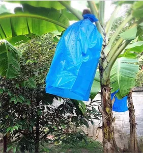 Bolso de protección para el pelo, accesorio para el pelo liso de fábrica, muay thai, plátano, lo más nuevo