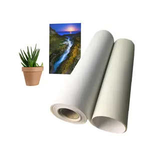Premium 260gsm Blank White Eco Solvent Ink 100% Waterproof Polyester Canvas For Inkjet Printing