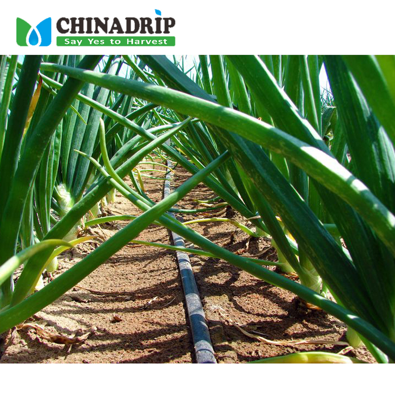 Agriculture Farm Gravity Drip Irrigation System