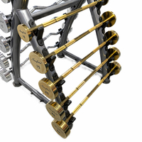 Barre de musculation fixe OEM pour salle de sport commerciale, de 10 kg à 50 kg, ensemble de barres droites et EZ Curl, poids en acier plaqué titane or chromé