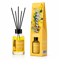 Diffuseur de parfum d'ambiance 100 ml, écologique, bâtonnets naturels, bouteille en verre recyclable, longue durée, idée cadeau