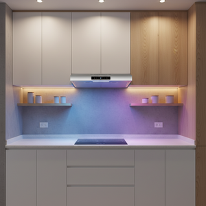 <span class=keywords><strong>Hotte</strong></span> de cuisine <span class=keywords><strong>professionnelle</strong></span>, <span class=keywords><strong>hotte</strong></span> de cuisine à aspiration descendante OEM, <span class=keywords><strong>hotte</strong></span> de cuisine électrique, extracteur de cuisine, <span class=keywords><strong>hotte</strong></span> de cuisson - Product Image 3