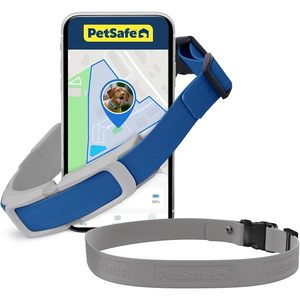 Collier de suivi GPS pour chien PetSafe Guardian avec sangle grise, localisation en temps réel, traceur d'animaux sans fil - Product Image 1