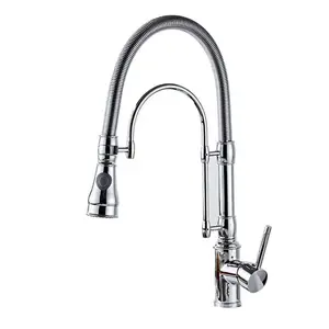 Two Function Dual Sprayer Spring Spout Hot Cold Mixer Chrome Bathroom Faucet Kitchen Sink Tap