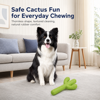 Jouet à mâcher pour chien en forme de cactus, choix du distributeur, avec surface en relief pour l'entraînement interactif et les activités intérieures