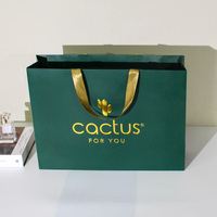 Luxus griff Euro Tote Papiertüte Kunden spezifisch bedruckte Boutique-Einkaufs verpackung für Schuhe Kleidung & Geschenke Versand mit Logo