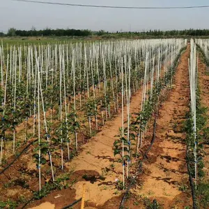 Ecostake Jardim Estacas 3ft Fibra De Vidro Pólos Sólidos Cerca Post Estacas De Planta Pesada