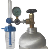 Pabrik langsung medis Male Outlet koneksi Bull hidung oksigen Regulator dengan aliran Meter oksigen Inhalator dengan botol Humidifier