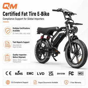 Bicicleta eléctrica QMWHEEL V20 Limited 48V, bicicleta eléctrica urbana, Fat Bike, Ebike con batería de litio, E Dirt Bike para el mercado minorista. - Product Image 1