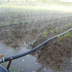 <span class=keywords><strong>Tuyau</strong></span> <span class=keywords><strong>d</strong></span>'irrigation micro-pulvérisateur à prix <span class=keywords><strong>d</strong></span>'usine - Product Image 4
