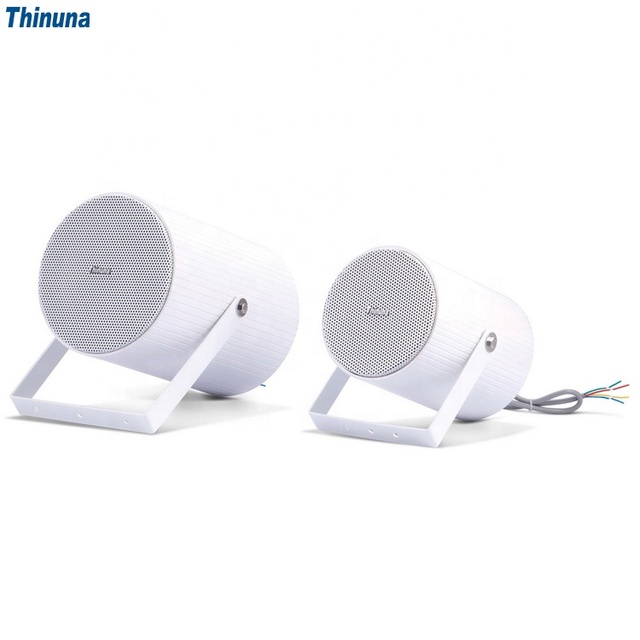 Thinuna HW-20B 10W 20W Outdoor Waterproof Projection Speaker Pa Audio System Tweeter Horn Speaker for Mosque Church