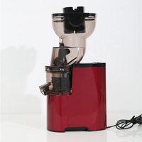 Hoge Kwaliteit Koude Pers Verticale Langzaam Fruit Juicer 300Ml Voor Thuisgebruik Eenvoudig Schoon Langzaam Makende Juicer