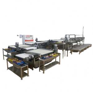 Máquina Automática de Clasificación, Calibración, Selección, Pesaje y Empaquetado de Arándanos - Product Image 5