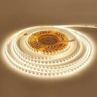 Lampu Strip LED Indoor Berkualitas Tinggi Terlaris 24V SMD 2835 Fleksibel