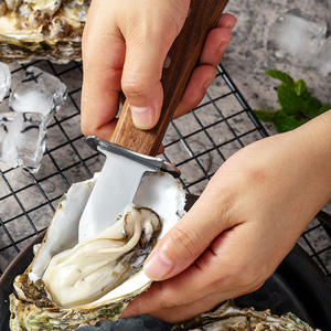 Herramienta <span class=keywords><strong>profesional</strong></span> para mariscos de cocina, mango de madera, cuchillo para ostras, abridor de conchas para ostras y vieiras para pelar - Product Image 5