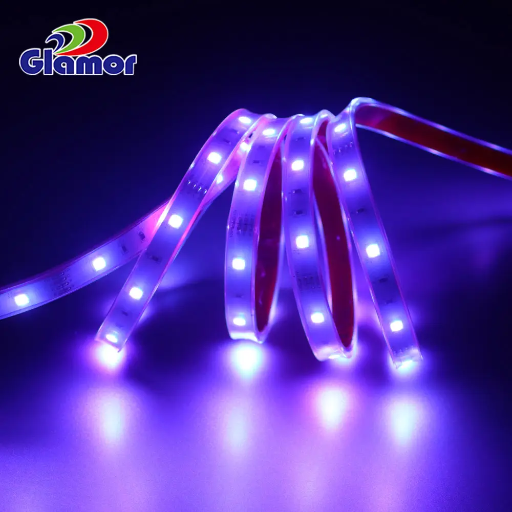 Outdoor RGB 12V 24V IP68 IP65 bianco freddo bianco caldo telecomando tubo flessibile in silicone striscia led per la decorazione barca auto