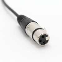 Kabel FTDI Panjang Kustom Harga Pabrik OEM Rs485 USB ke Serial 3 PIN Female XLR DMX 512 CAT6 Bersertifikasi CE Kabel Komputer