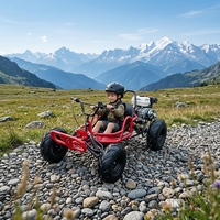 Voiture de drift tout-terrain 212CC à quatre temps pour adultes avec pneus de 8 pouces, kart de loisirs sportif professionnel